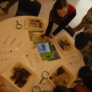 Students sit around a round table with tubs of water and organic matter, magnifying glasses, and diagrams of insects. A staff member holds a tablet showing a photograph of an insect in the center of the table.