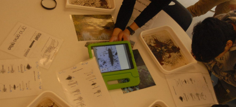 Students sit around a round table with tubs of water and organic matter, magnifying glasses, and diagrams of insects. A staff member holds a tablet showing a photograph of an insect in the center of the table.